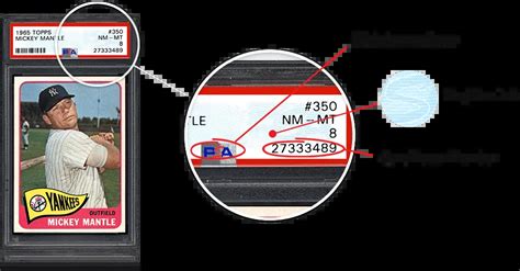 psa serial number lookup|psa dna certification number.